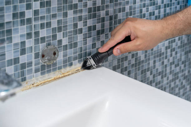 Best Mold Removal Company Near Me  in Soh Weber, UT