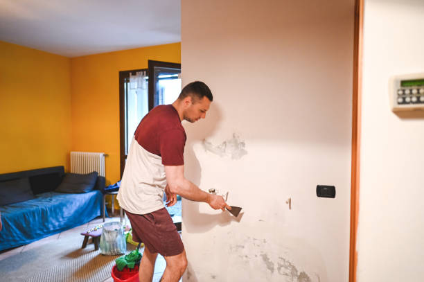 Best Certified Mold Removal  in Soh Weber, UT