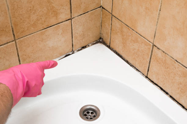 Best Residential Mold Removal  in Soh Weber, UT